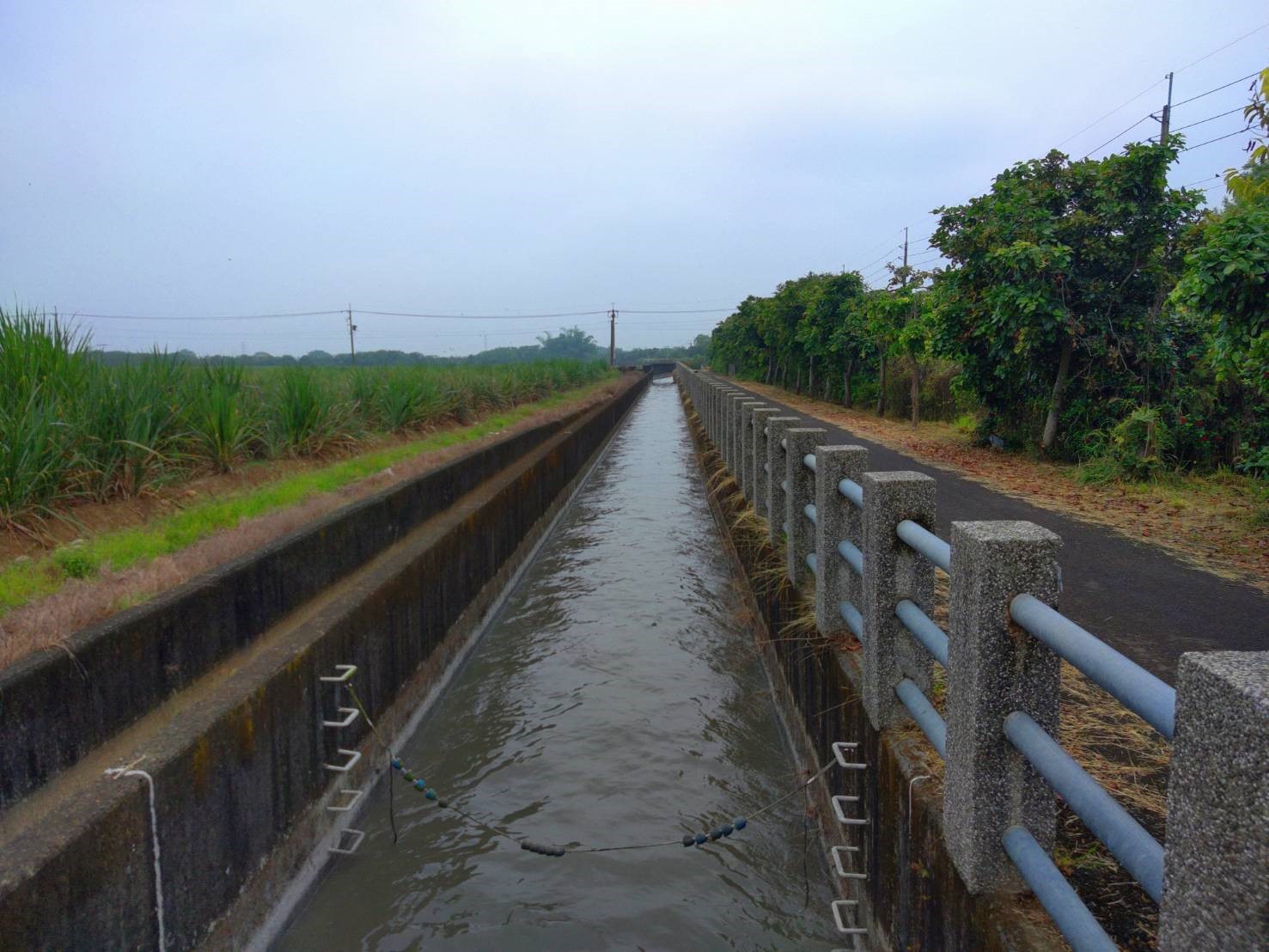 Irrigation Construction